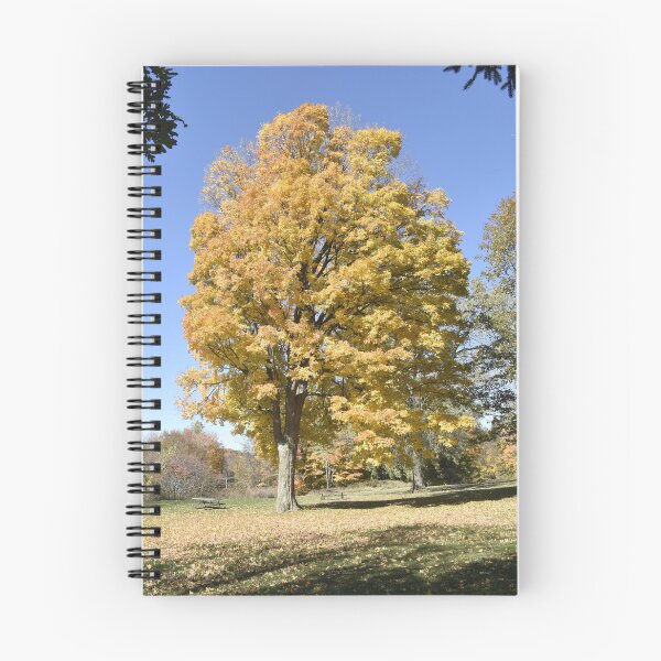 Item preview, Golden Tree designed and sold by Kathleen Brant.