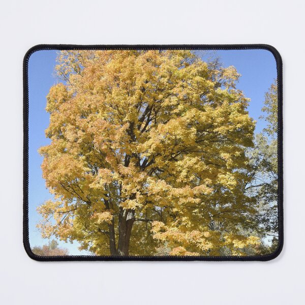 Item preview, Golden Tree designed and sold by Kathleen Brant.