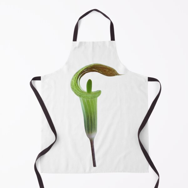 Item preview, Jack-in-the-Pulpit emerging - Botanical designed and sold by EveryDayDabble.