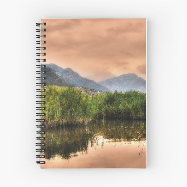 Item preview, Mountainscape with canebrake designed and sold by Roberto Pagani.