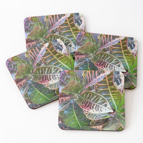 Item preview, Bright Croton designed and sold by Sparkleweather.