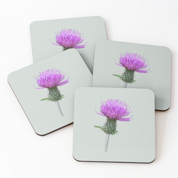 Item preview, Pink Thistle Flower in Bloom - Spikey flower - Native flower, Botanical Flower designed and sold by EveryDayDabble.