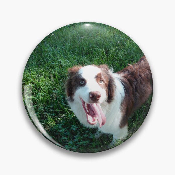 Artikelvorschau, Glücklicher Border-Collie im Gras entworfen und verkauft von DefendingDRealm.