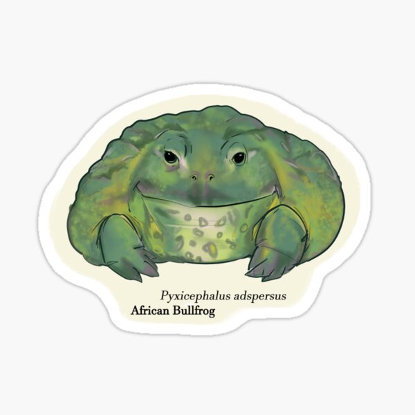 Item preview, African Bullfrog (Froggy Friends) designed and sold by GoodToad.