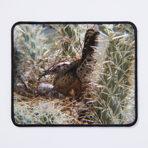 Item preview, I Have Been Spotted! (Cactus Wren) designed and sold by MadeleineRoth.
