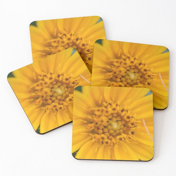 Artikelvorschau, Yellow Macro entworfen und verkauft von Kate Harrison.