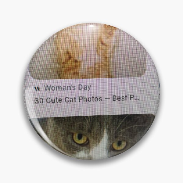 Item preview, Cat sleep designed and sold by VuKhanh123.