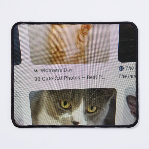 Item preview, Cat sleep designed and sold by VuKhanh123.