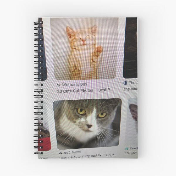 Item preview, Cat sleep designed and sold by VuKhanh123.