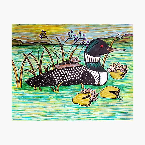 Mother loon Photographic Print