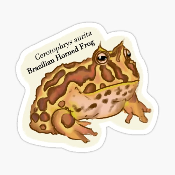Item preview, Brazilian Horned Frog (Froggy Friends) designed and sold by GoodToad.