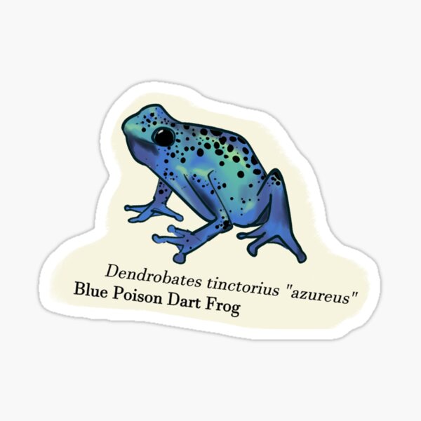 Item preview, Blue Poison Dart Frog (Froggy Friends) designed and sold by GoodToad.