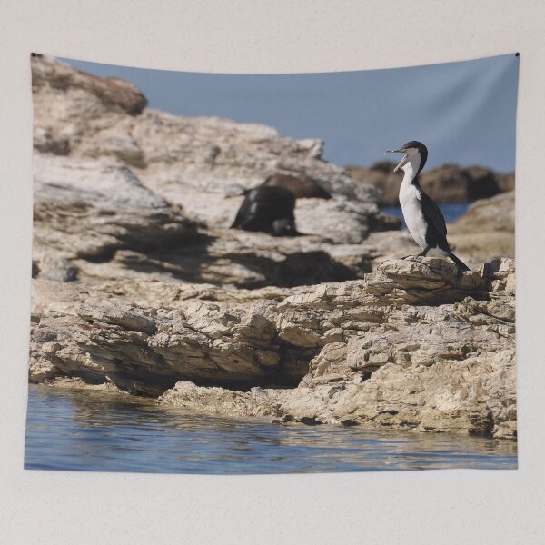 Item preview, penguin,animal,fur,beak,cree,sea,ocean,pacific,peninsula,kaikoura,new zealand,rock,nature,wild,landscape,view,travel,tourism,discovery,franck380 designed and sold by franck380.