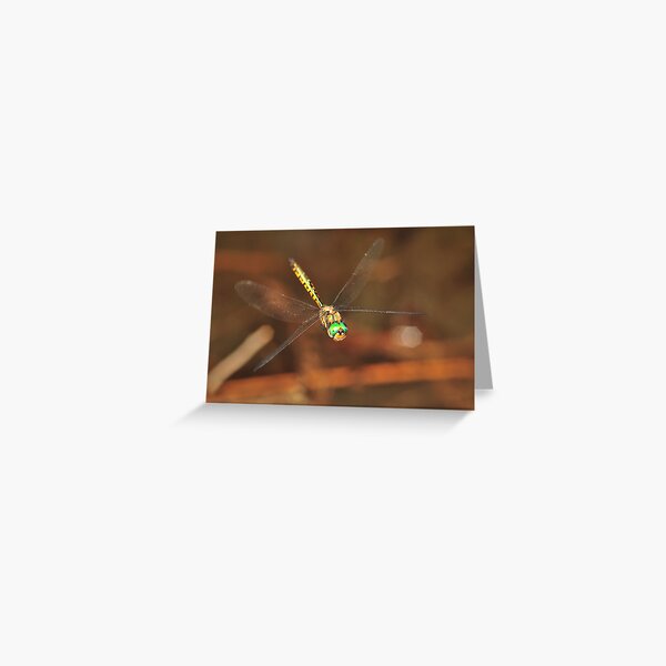 Dragonfly flight Greeting Card