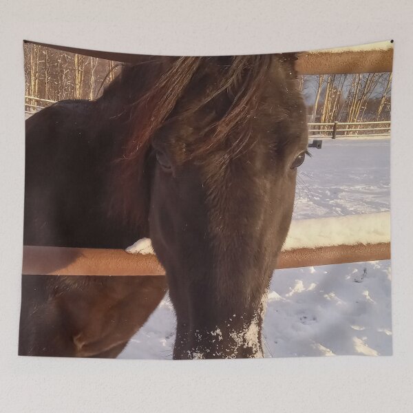 Item preview, Almost A Unicorn  designed and sold by PhrozenPhotos.