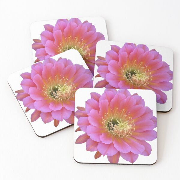 Item preview, Pink cactus flower designed and sold by Sthoen.