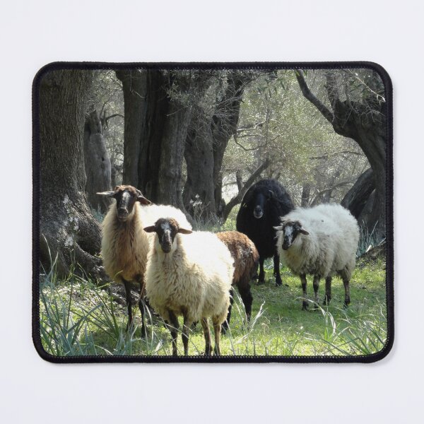 Item preview, Five-fold designed and sold by aeolia.