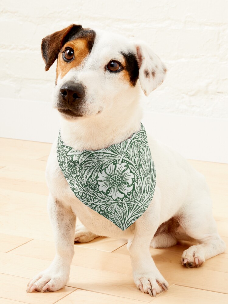 Pañuelo para mascotas «Willam Morris Vintage caléndulas verdes y blancas»  de FunckyDesigns | Redbubble
