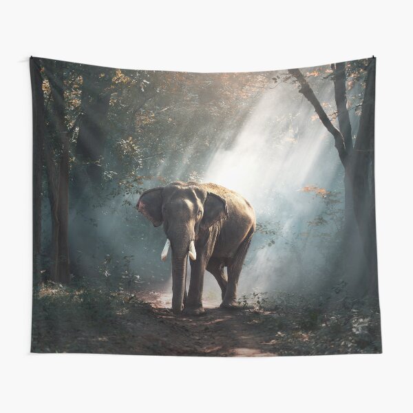 Grey E by design El Elephante Animal Print Tapestry Classic 80 x 60 Grey E by design El Elephante Animal Print Tapestry Classic 80 x 60