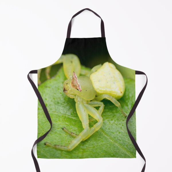 Item preview, A masked crab spider (Thomisidae) waiting for a prey designed and sold by AvonPerception.