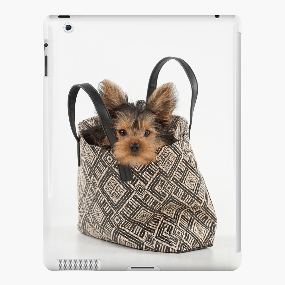 Chloe the Bull Terrier - Tote Bag | Dog tote bag, Dog tote, Blue heeler  puppies