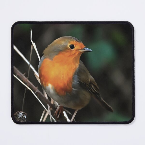 Item preview, Robin Being Bright On A Dull Day Acrylic Art designed and sold by taiche.