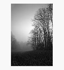 Tree Silhouette Photographic Print
