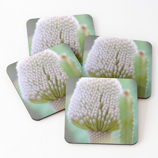 Item preview, Banksia prionotes designed and sold by Jennene Cathcart.