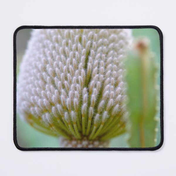 Item preview, Banksia prionotes designed and sold by Jennene Cathcart.