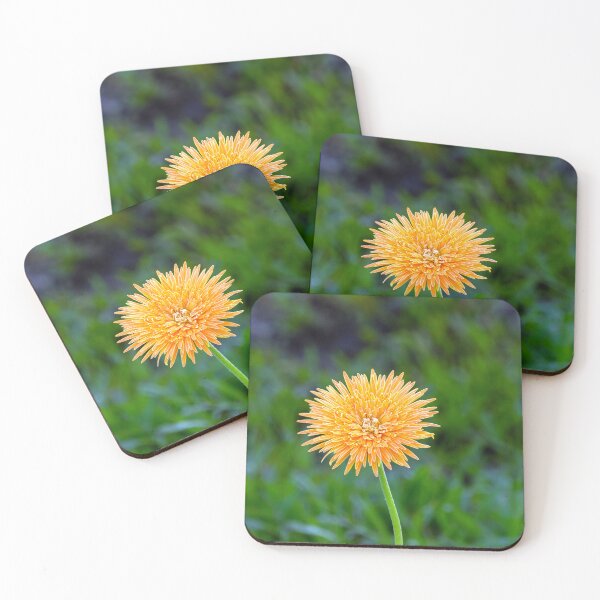 Item preview, Orange African Daisy designed and sold by likbatonboot.