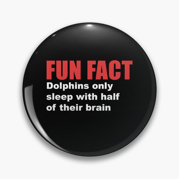 Item preview, fun fact dolphin sleep designed and sold by Dagrell.