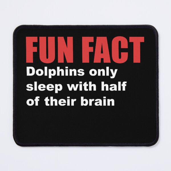 Item preview, fun fact dolphin sleep designed and sold by Dagrell.