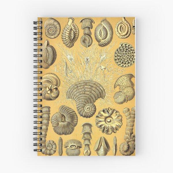 Item preview, Art Forms in Nature designed and sold by portokalis.