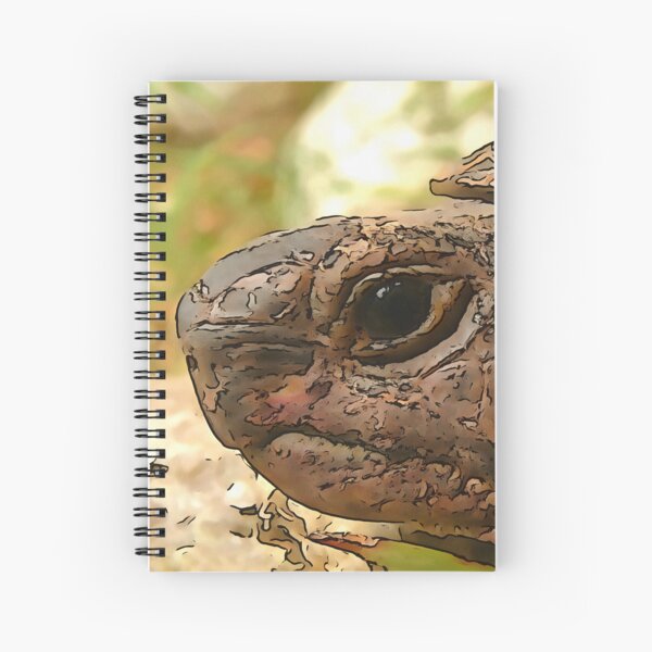 Item preview, Close Up Side Portrait Of A Turkish Tortoise designed and sold by taiche.