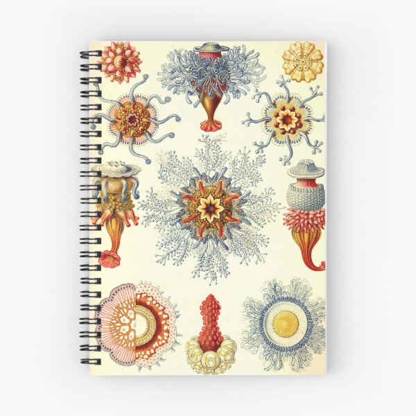Item preview, Art Forms in Nature designed and sold by portokalis.
