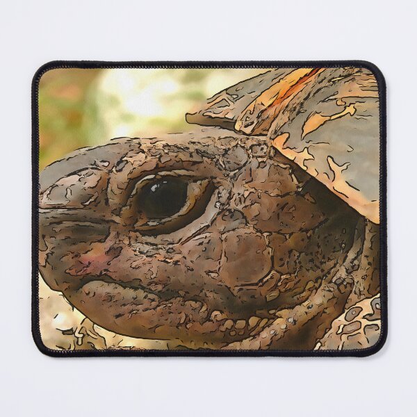 Item preview, Close Up Side Portrait Of A Turkish Tortoise designed and sold by taiche.