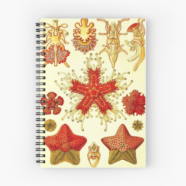 Item preview, Art Forms in Nature designed and sold by portokalis.