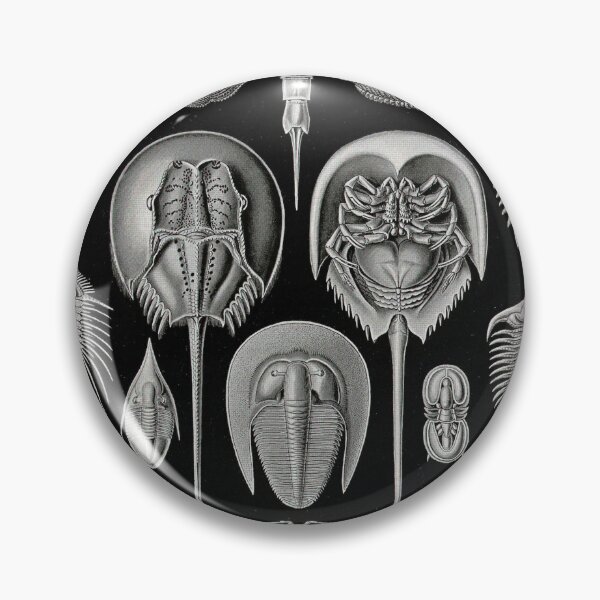 Item preview, Art Forms in Nature designed and sold by portokalis.