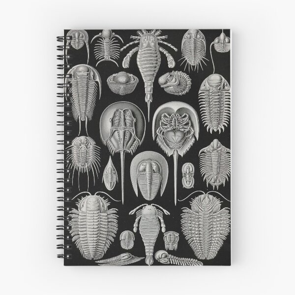 Item preview, Art Forms in Nature designed and sold by portokalis.