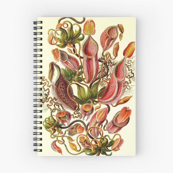 Item preview, Art Forms in Nature designed and sold by portokalis.
