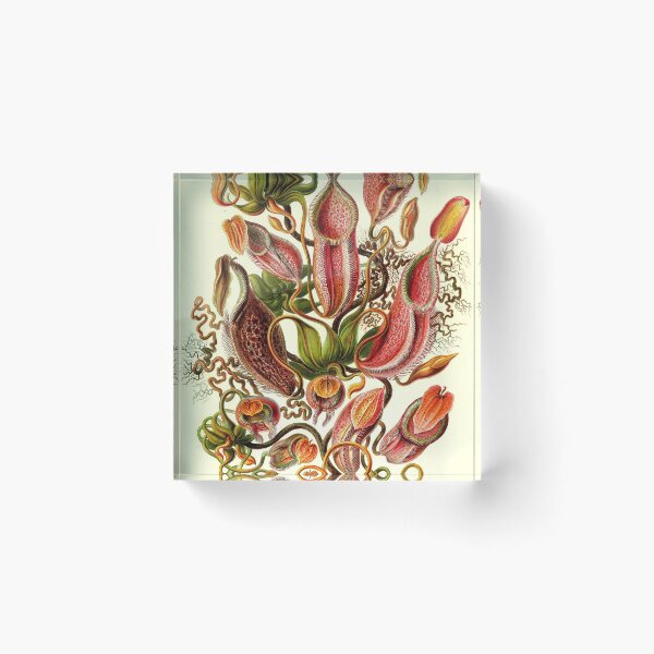 Item preview, Art Forms in Nature designed and sold by portokalis.