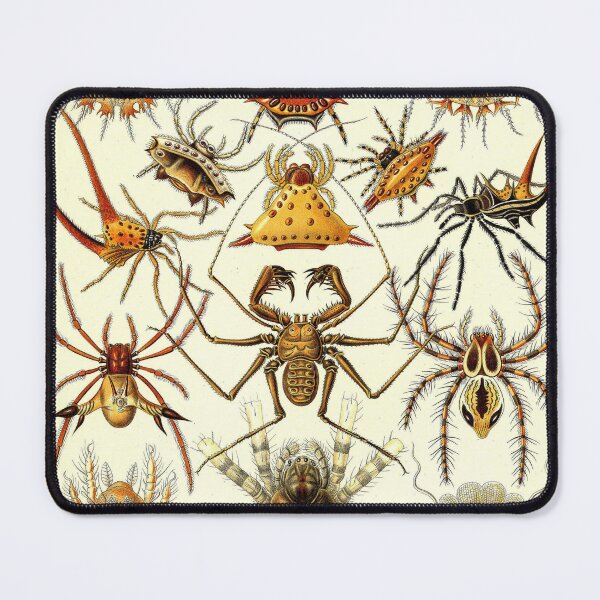 Item preview, Art Forms in Nature designed and sold by portokalis.