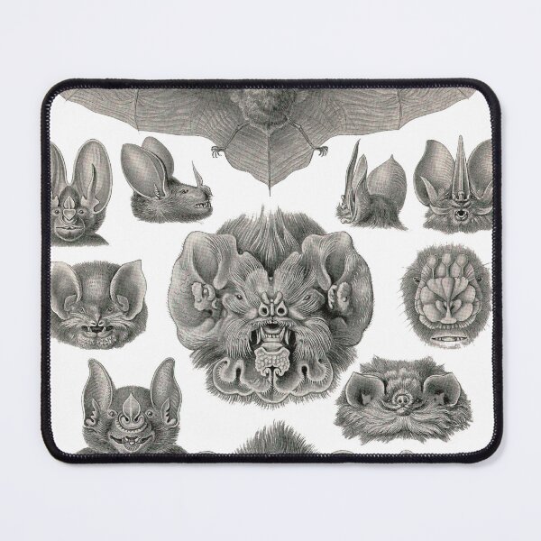 Item preview, Art Forms in Nature designed and sold by portokalis.