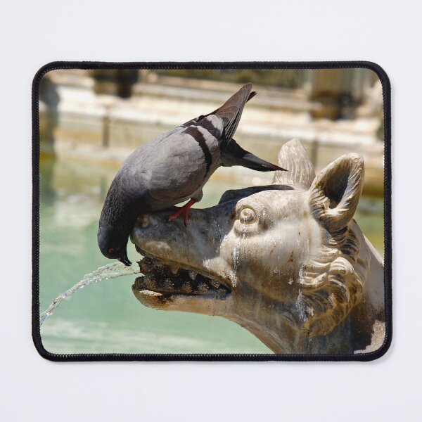 Item preview, Parched Pigeon  designed and sold by BreeFarinaPhoto.