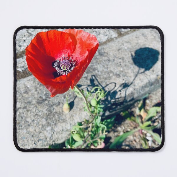 Item preview, Random Poppy designed and sold by BreeFarinaPhoto.