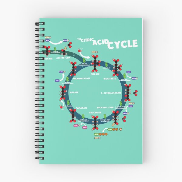 Item preview, The Citric Acid Cycle designed and sold by saturdayride.