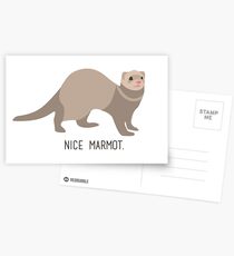 Nice Marmot Postcards