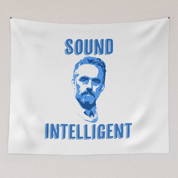 Item preview, Sound Intelligent... when completely wrong designed and sold by Signs for Dark Times.