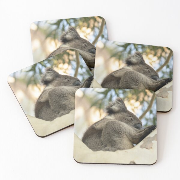 Item preview, Contented Koala Caught Napping designed and sold by imaginethis.