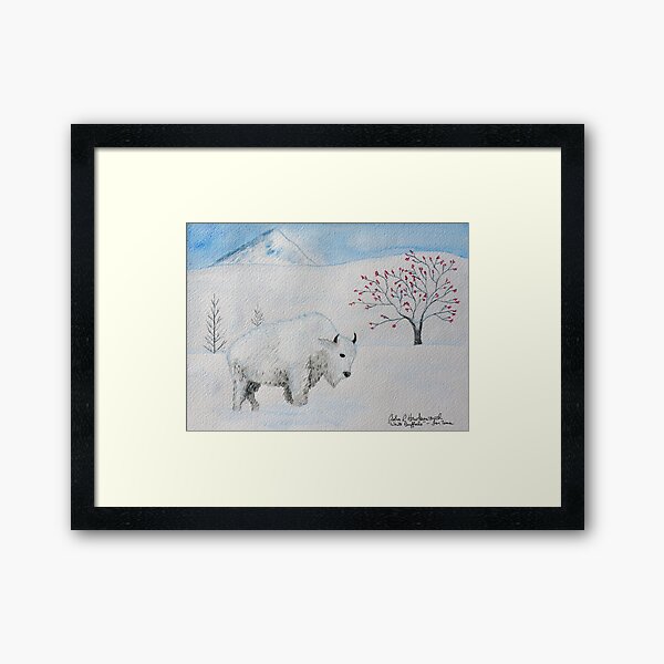 White Buffalo Framed Art Print